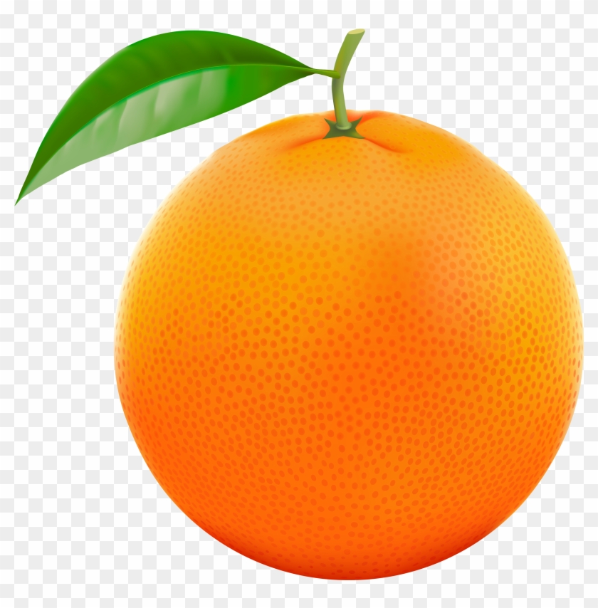 Orange Fruit Clipart Orane - Orange Clip Art - Png Download #1665674