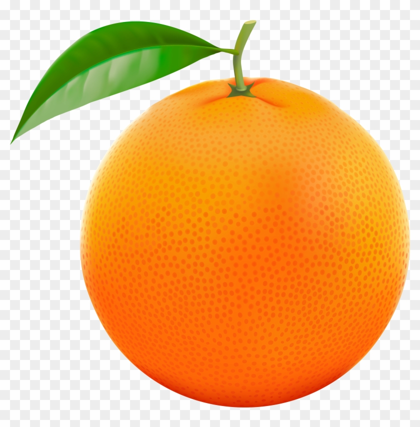 Orange Fruit Clipart Orane - Orange Clip Art - Png Download