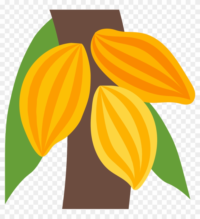 Png 50 Px - Cocoa Bean Png Clipart