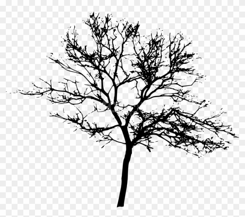 Free Png Tree Silhouette Png Images Transparent - Tree Silhouette Transparent Background Clipart #1666891