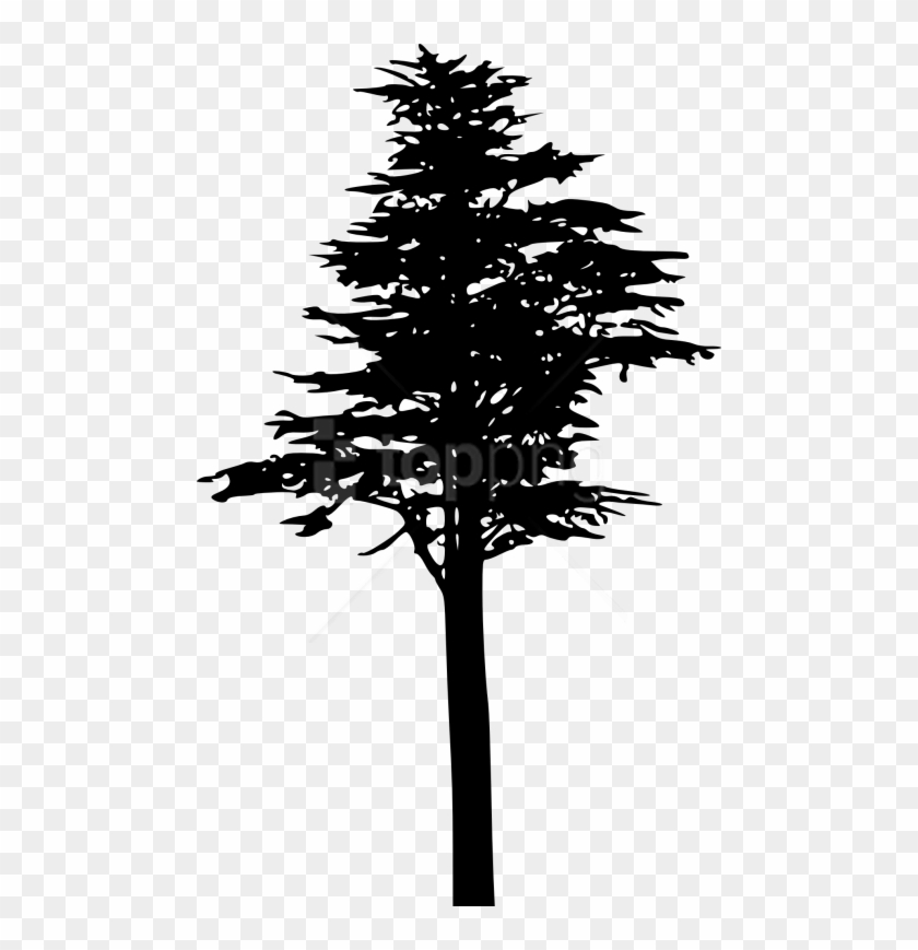 Free Png Pine Tree Silhouette Png - Силуэт Сосны Png Clipart #1667029