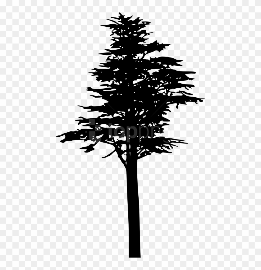 Free Png Pine Tree Silhouette Png - Силуэт Сосны Png Clipart