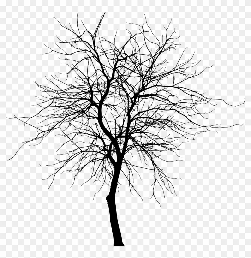 Aspen Drawing Skinny Tree - Tree Silhouette Png Clipart #1667051