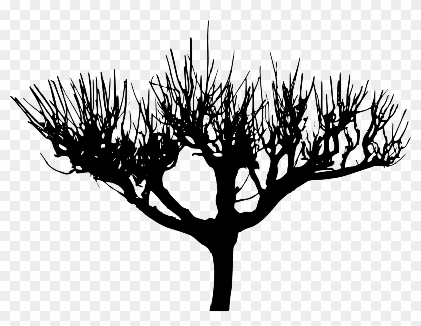 Tree Trees Silhouette 4trueartists Hd Contour Backlit - Silhouette Clipart