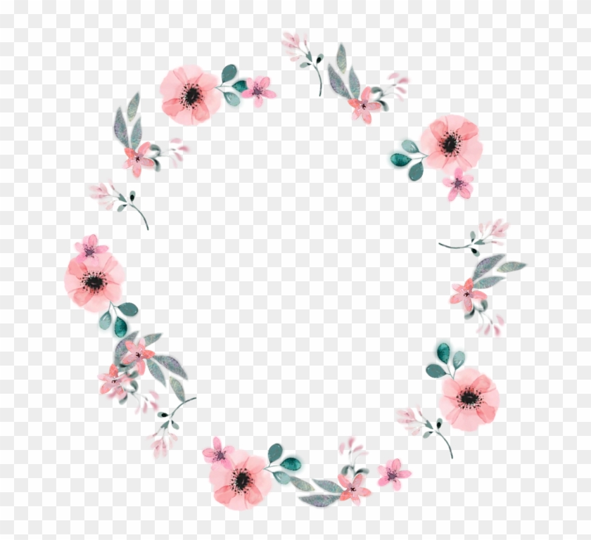 #flower #circle - Gerbera Clipart