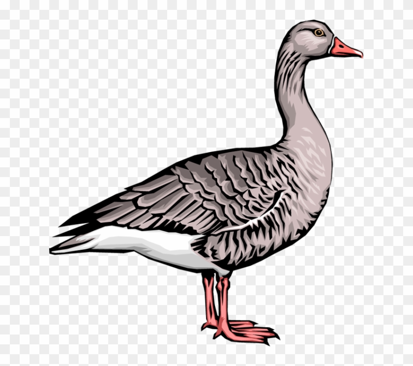 Goose Png - Clip Art Transparent Png (#1668756) - PikPng