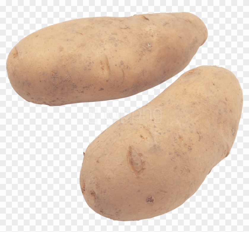 Free Png Potato Png Images Transparent - Potato Stock Image Transparent Clipart
