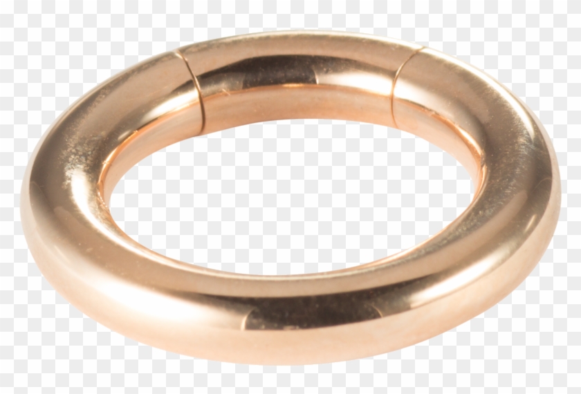 Labretpiercing Septumpiercing Segmentring Brillant - Body Jewelry Clipart #1671403