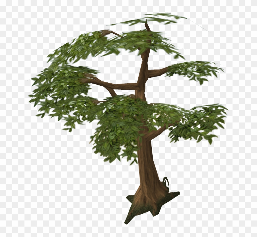 Wood Clipart #1672096