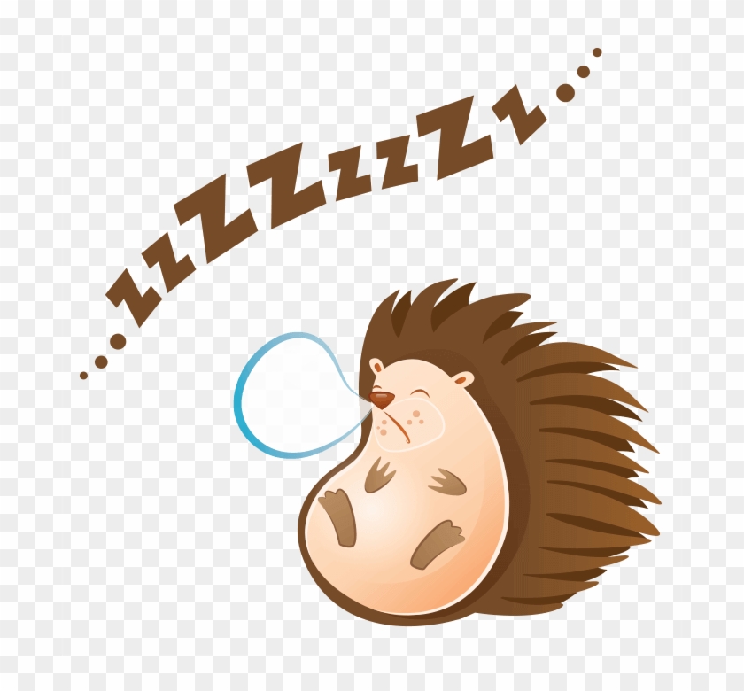 700 X 700 6 - Riccio Che Dorme Disegno Clipart #1672867