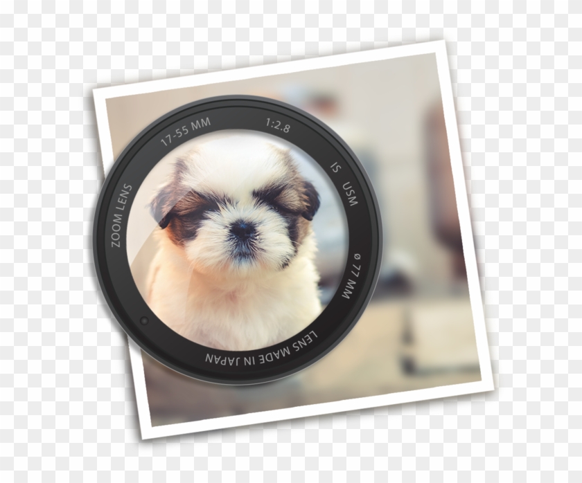 Photo Blur Fx - Mal-shi Clipart #1676186