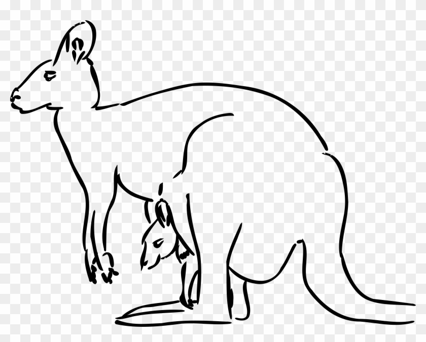 Kangaroo Png Clipart