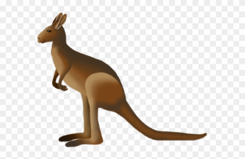 Kangaroo Clipart