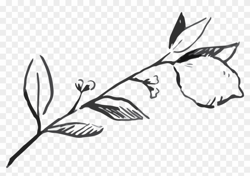 No-fail Luscious Lemon Cake - Sketch Clipart #1677251