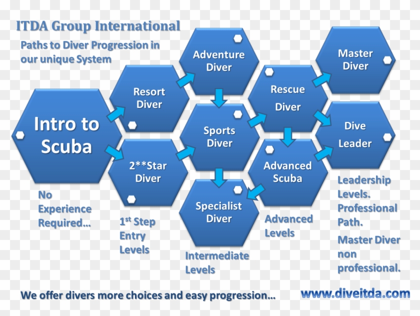 Itda Group Progession Chart 2013 Png - Honey Icon Clipart #1677778