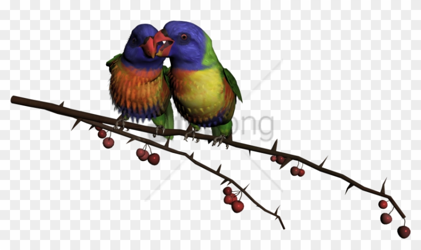 Free Png Beautiful Flying Birds Png Image With Transparent - Beautiful Flying Birds Png Clipart