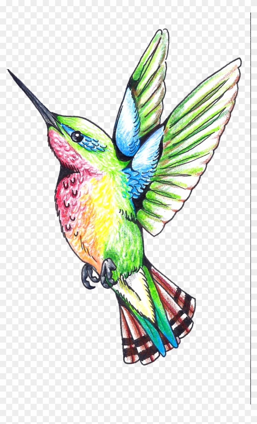 Hummingbird Tattoos Png Clipart - Drawing Transparent Png