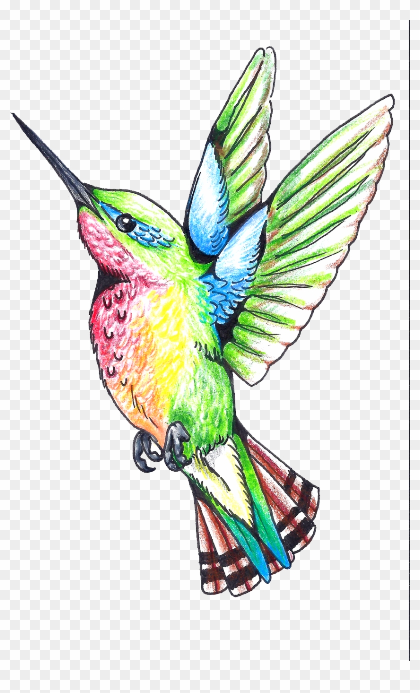 Hummingbird Tattoos Png Clipart - Drawing Transparent Png #1680335