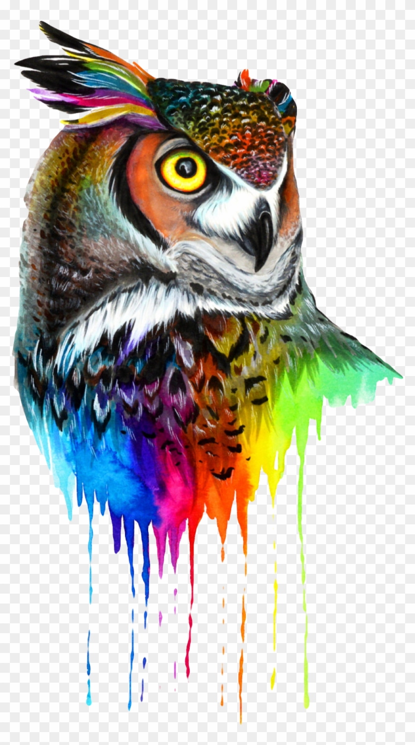 #owl #colors #mandala #bird #animal #nature #beak #wings - Tattoo Clipart