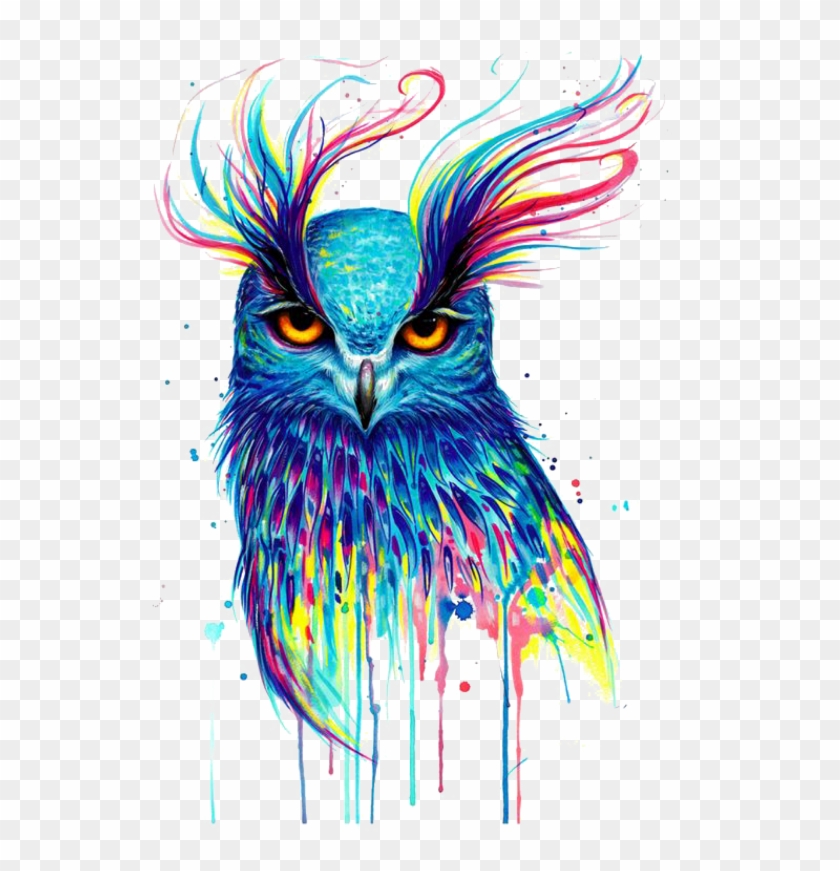 #mq #owl #colorful #paint #birds #bird #flying - Colorful Owl Drawings Clipart #1680529