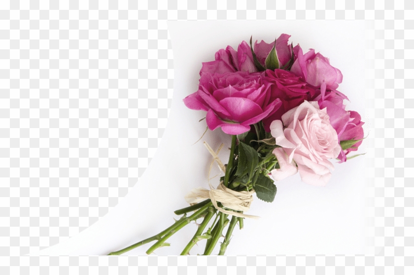 Garden Roses Clipart