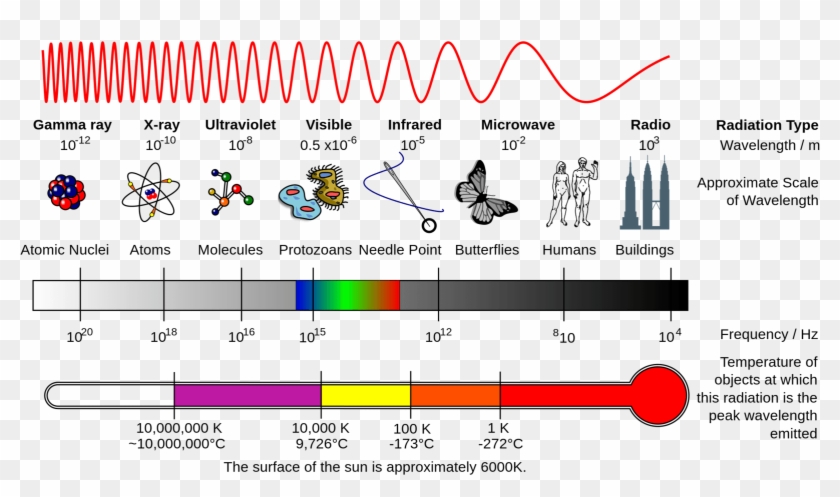 Why You Can't Fry Eggs With A Cellphone - Electromagnetic Spectrum Left To Right Clipart
