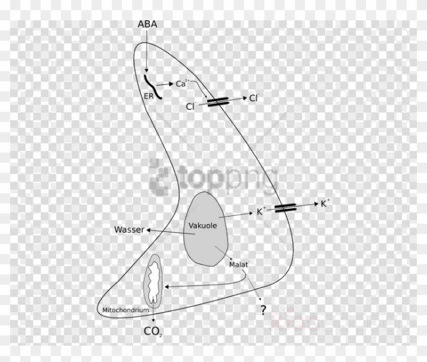 Free Png Boat Icon No Backgroundcomputer Icons Png - おじぎ イラスト 看護 師 Clipart