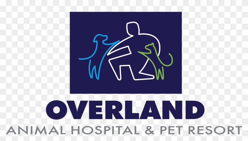 Steele St - Digital Globe Clipart