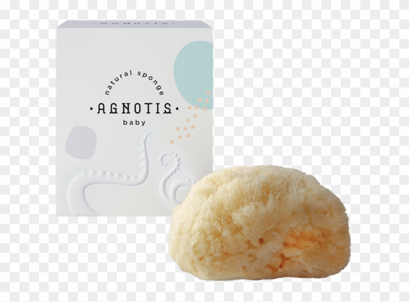 Σφουγγαρι Agnotis Clipart #1683598