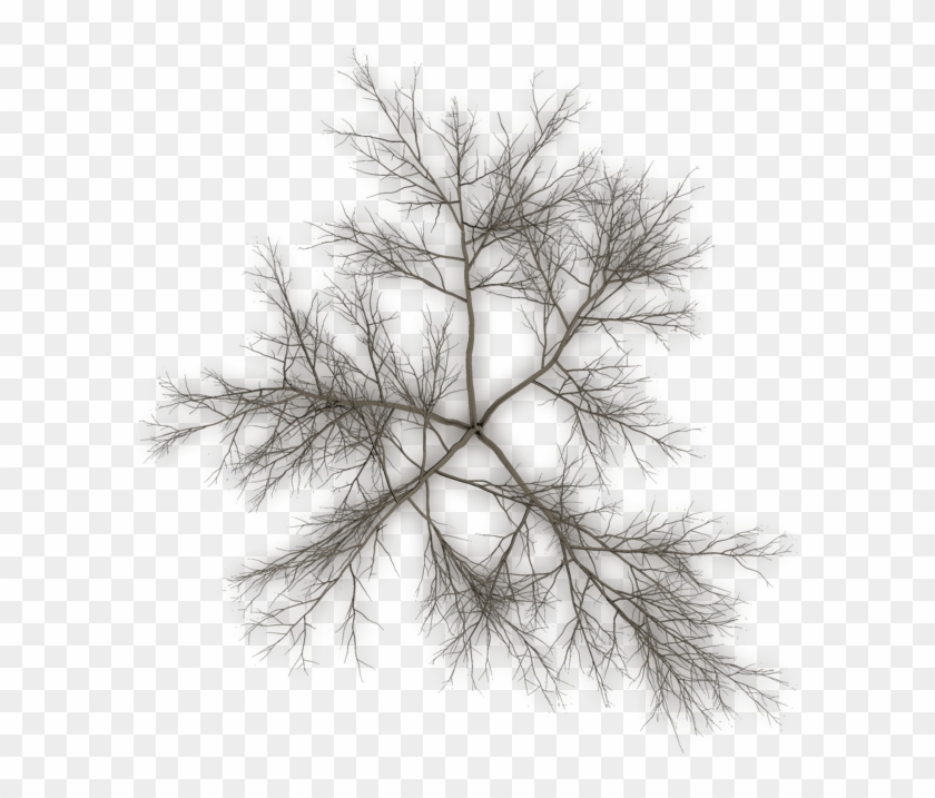 Tree Top Png Black Clipart #1683719