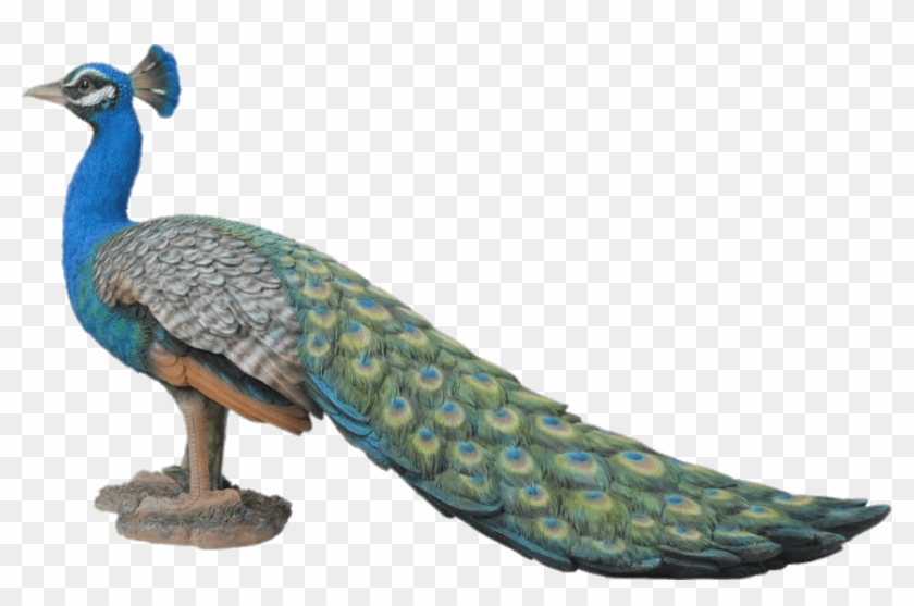 Peacock Garden Ornament - Peacock Resin Clipart #1684080