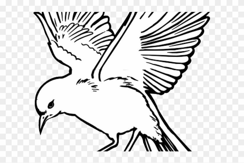 White Dove Clipart Fire Png - Flying Bird Line Drawing Transparent Png