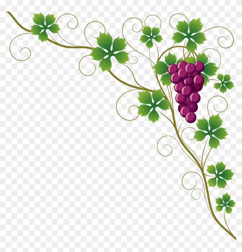 Common Grape Vine Grape Leaves Wine Clip Art - Design Border Of Chart - Png Download