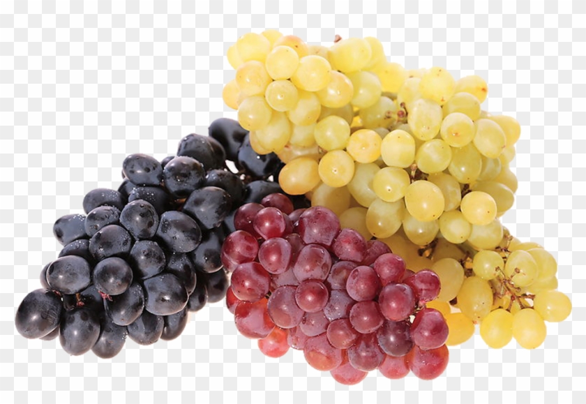 Kisspng Common Grape Vine Juice Wine Berry Red Grape - Полезные Свойства Винограда Clipart #1685953