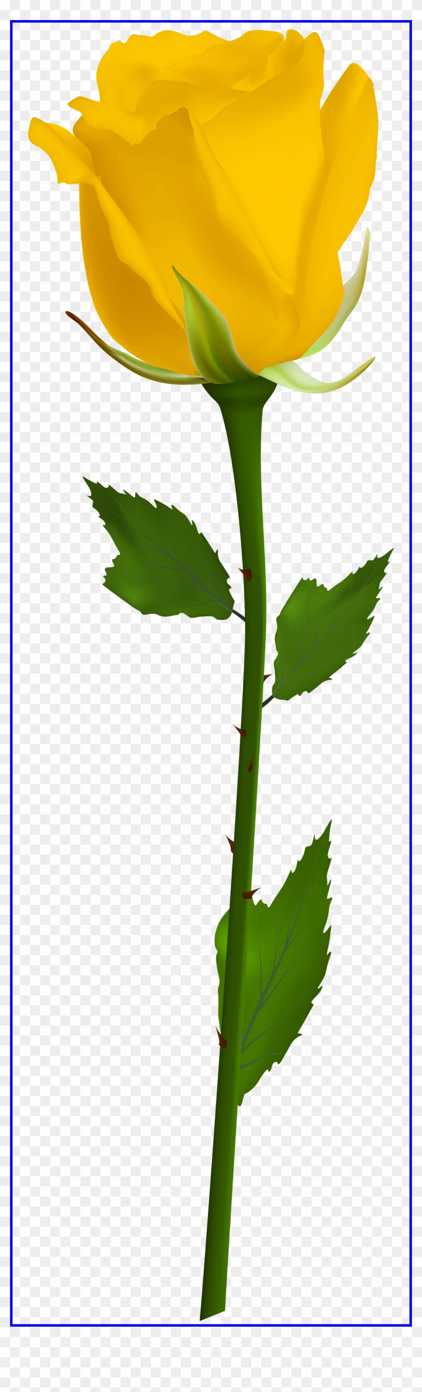 Marvelous Pin By Solsticio Solncestojanie On Primavera - Single Yellow Rose Clipart - Png Download