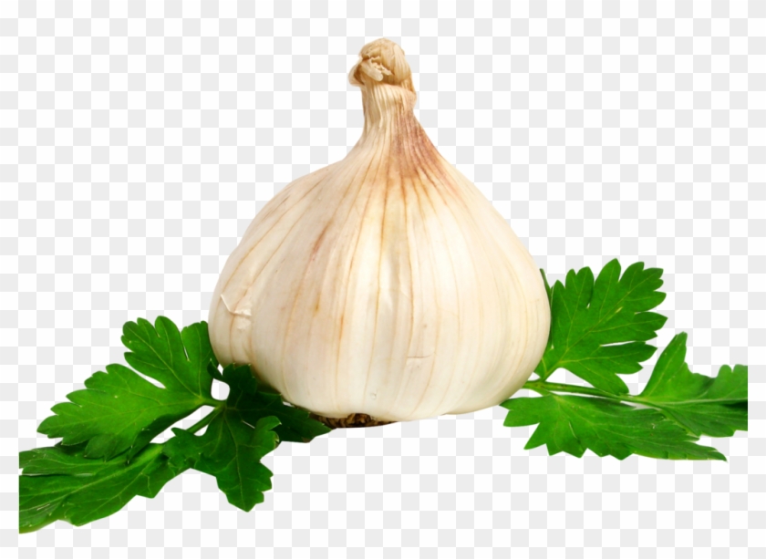 Garlic Png Image - Garlic Clipart #1686277