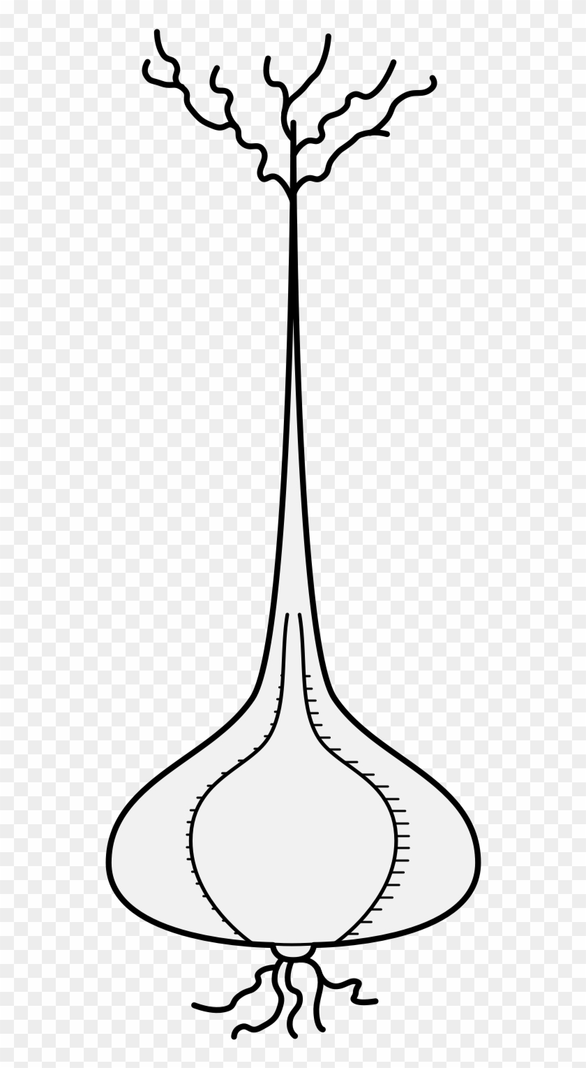 Details, Png - Line Art Clipart
