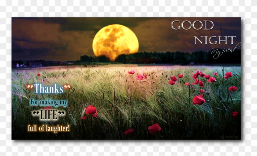 Good Night Png Transparent Images - Beautiful Flower Good Night Gift Clipart