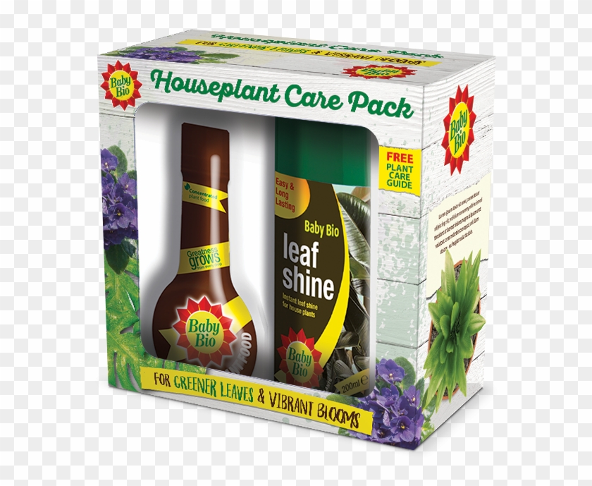 Verbena Clipart #1687713