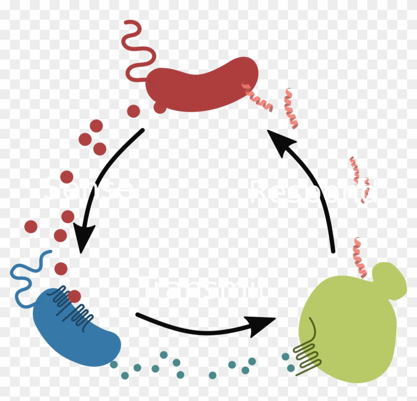 Our Proof Of Concept - Croc N Cholera Clipart