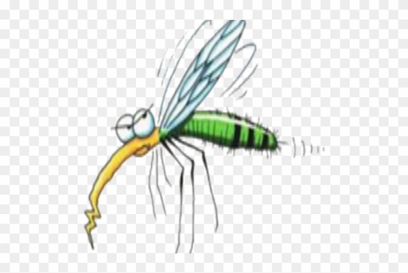 Graphic Bothered Free On Dumielauxepices Net Insect - Transparent Mosquito Clipart #1689540