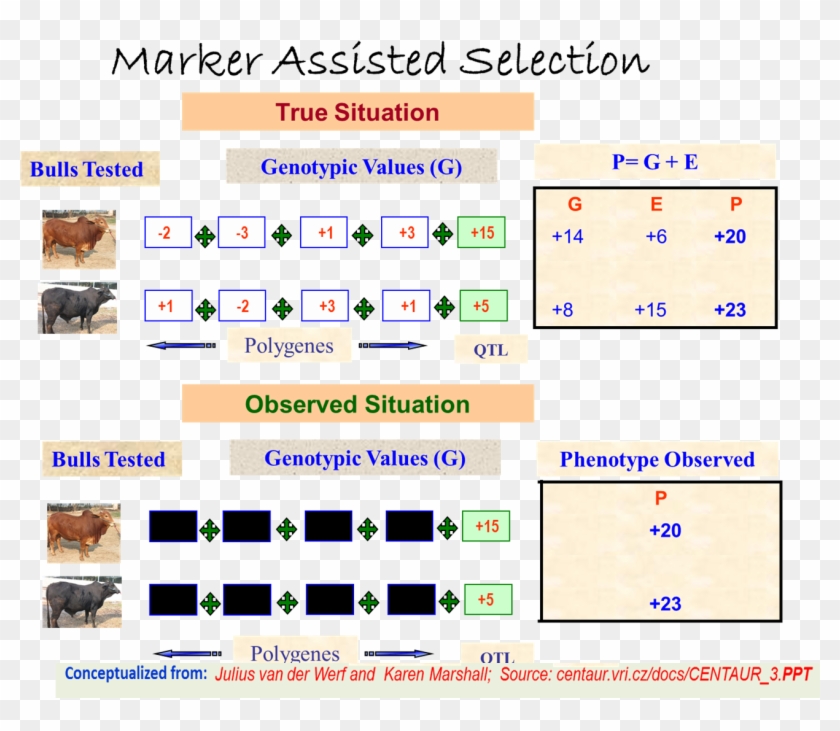 X Back Ground Clipart #1691539