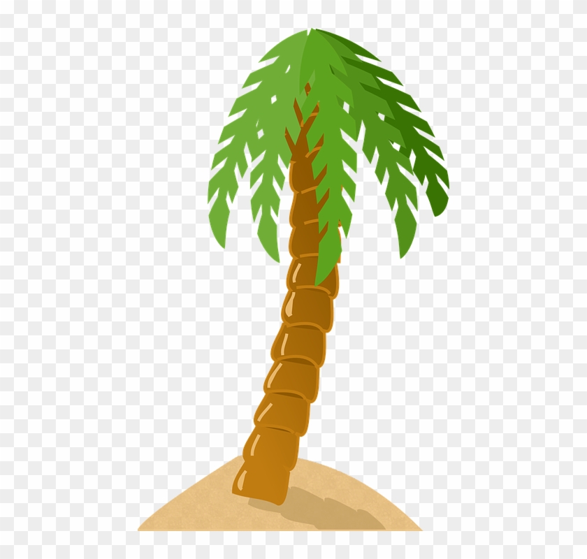 Palm Tree, Exotic, Tropical, Island, Green, Sand, Beach - Palm Tree Clip Art - Png Download #1692540