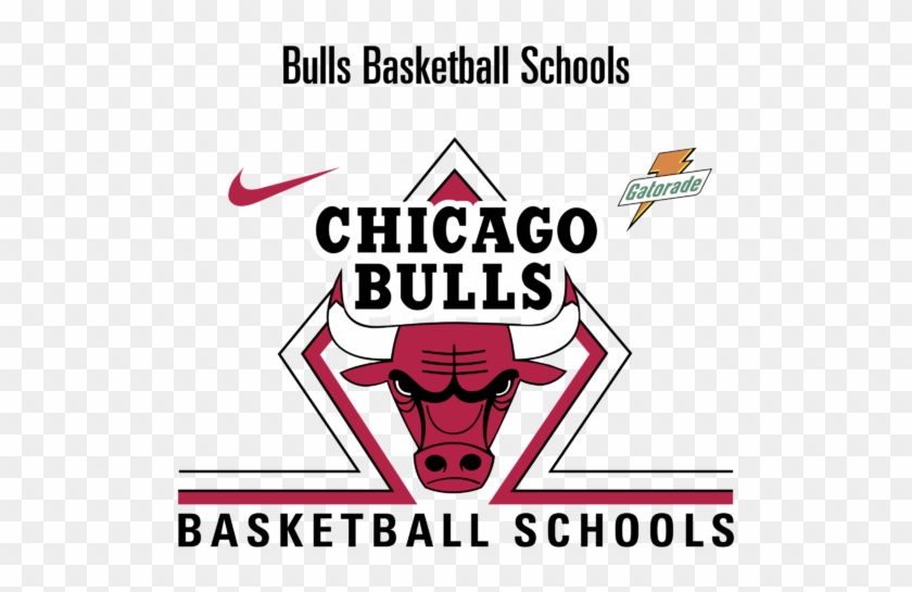 Bull Basketball Schools Logo Png Transparent & Svg - Graphic Design Clipart