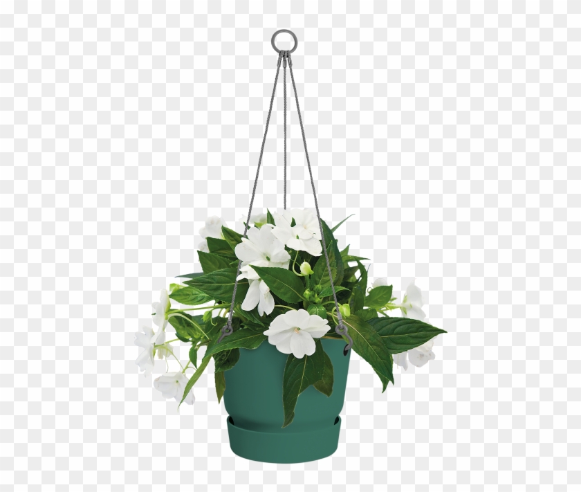 Greenville Hanging Basket - Bouquet Clipart