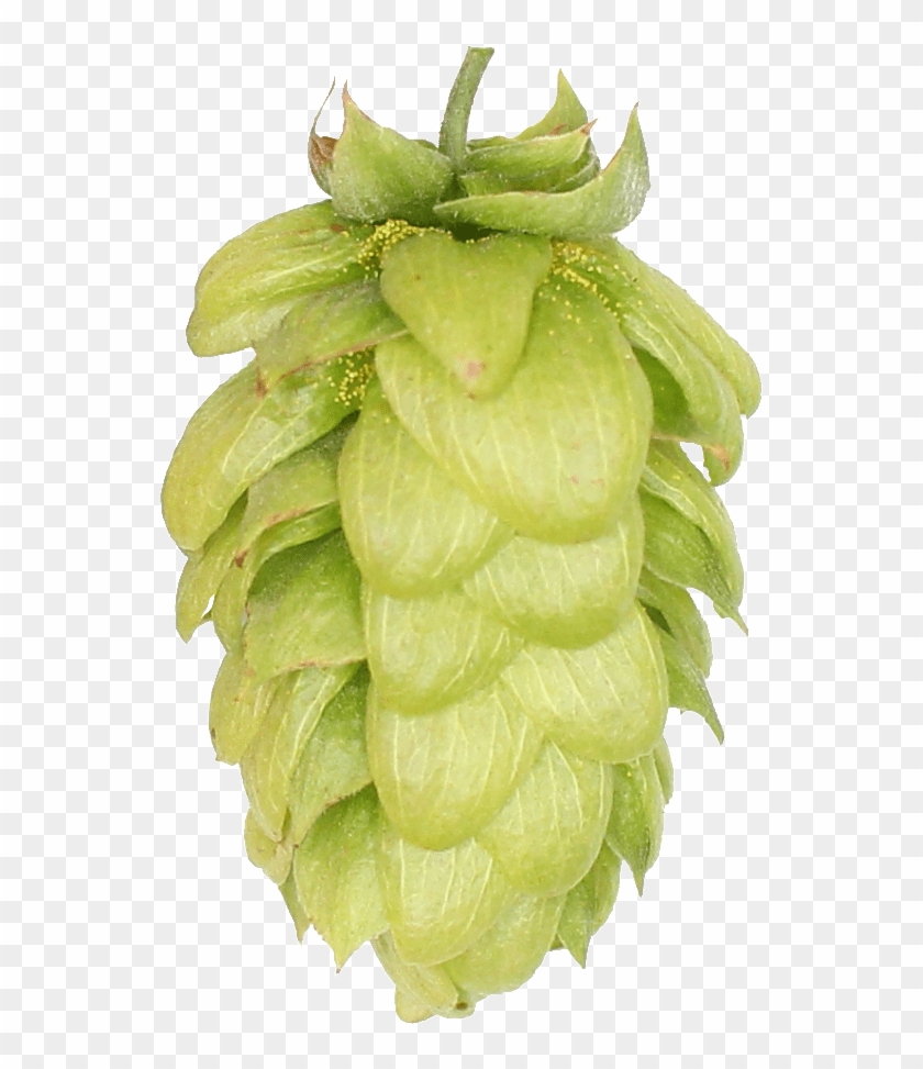 Raspberry Clipart #1694934