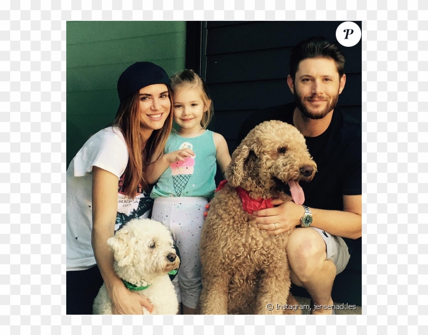 Jensen Ackles, Sa Femme Danneel Harris Et Leur Fille - Jensen Ackles With Dogs Clipart #1695197