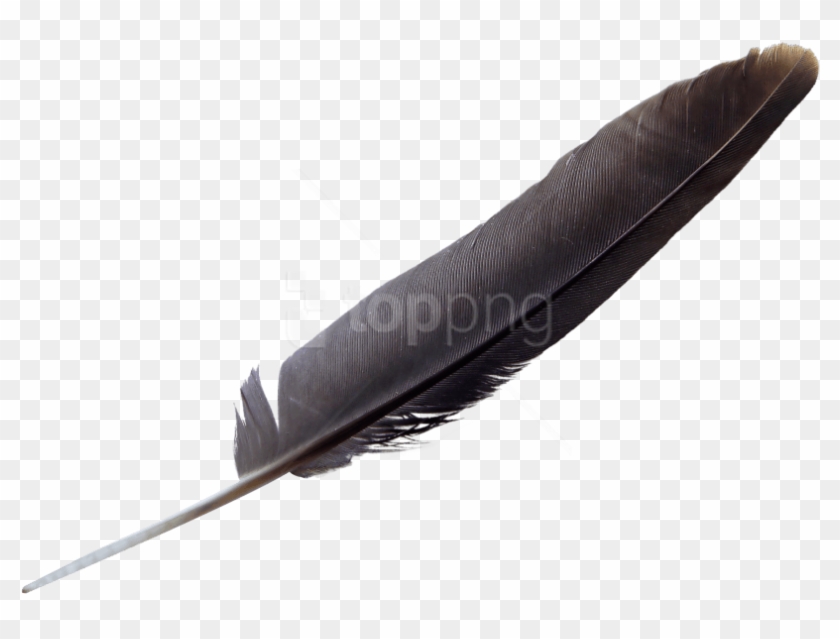 Free Png Download Feather Png Images Background Png - Transparent Background Quill Png Clipart #1699396