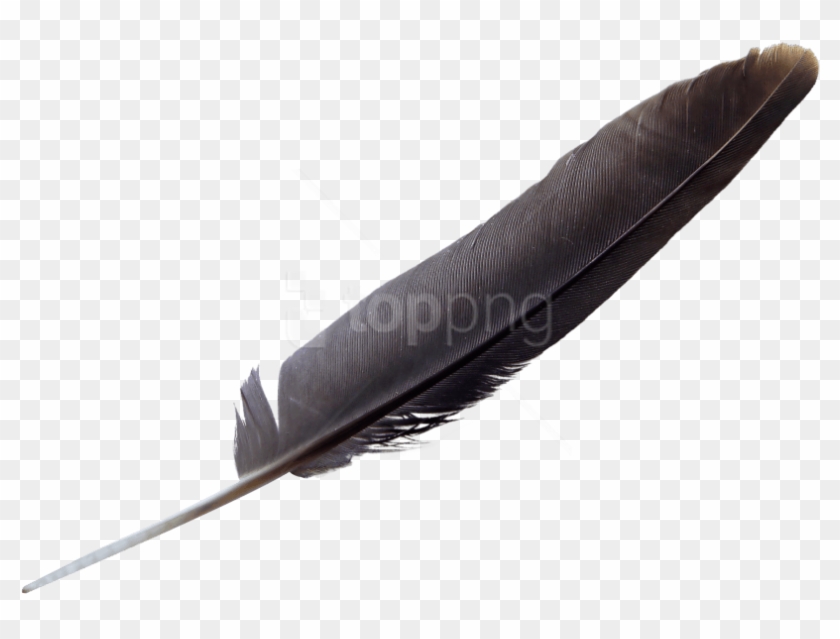 Free Png Download Feather Png Images Background Png - Transparent Background Quill Png Clipart