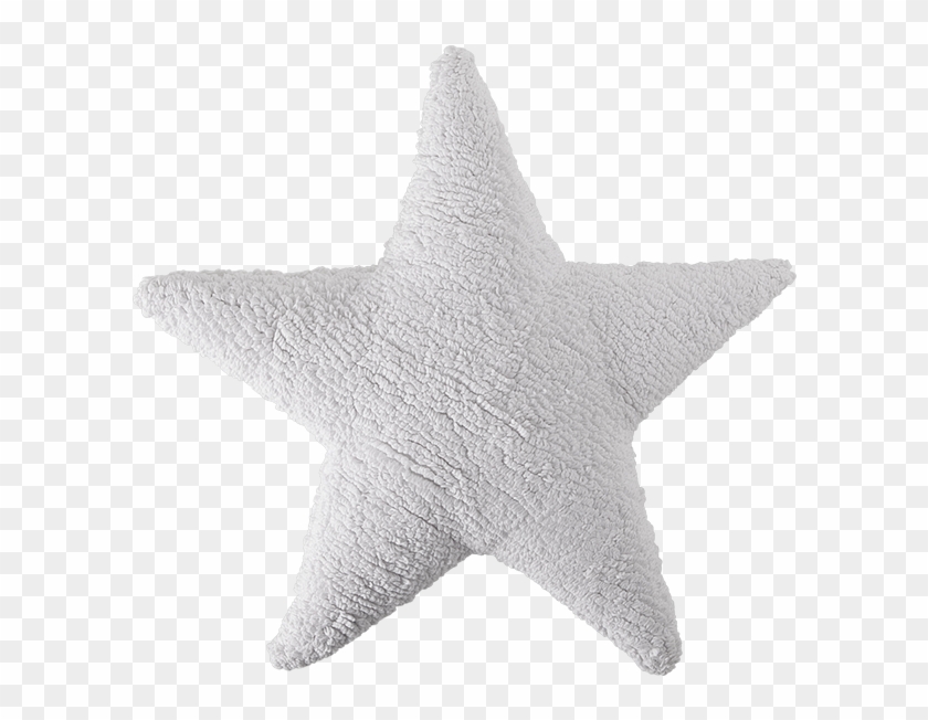 900 X 600 17 - Imagenes De Estrellas Blancas Clipart